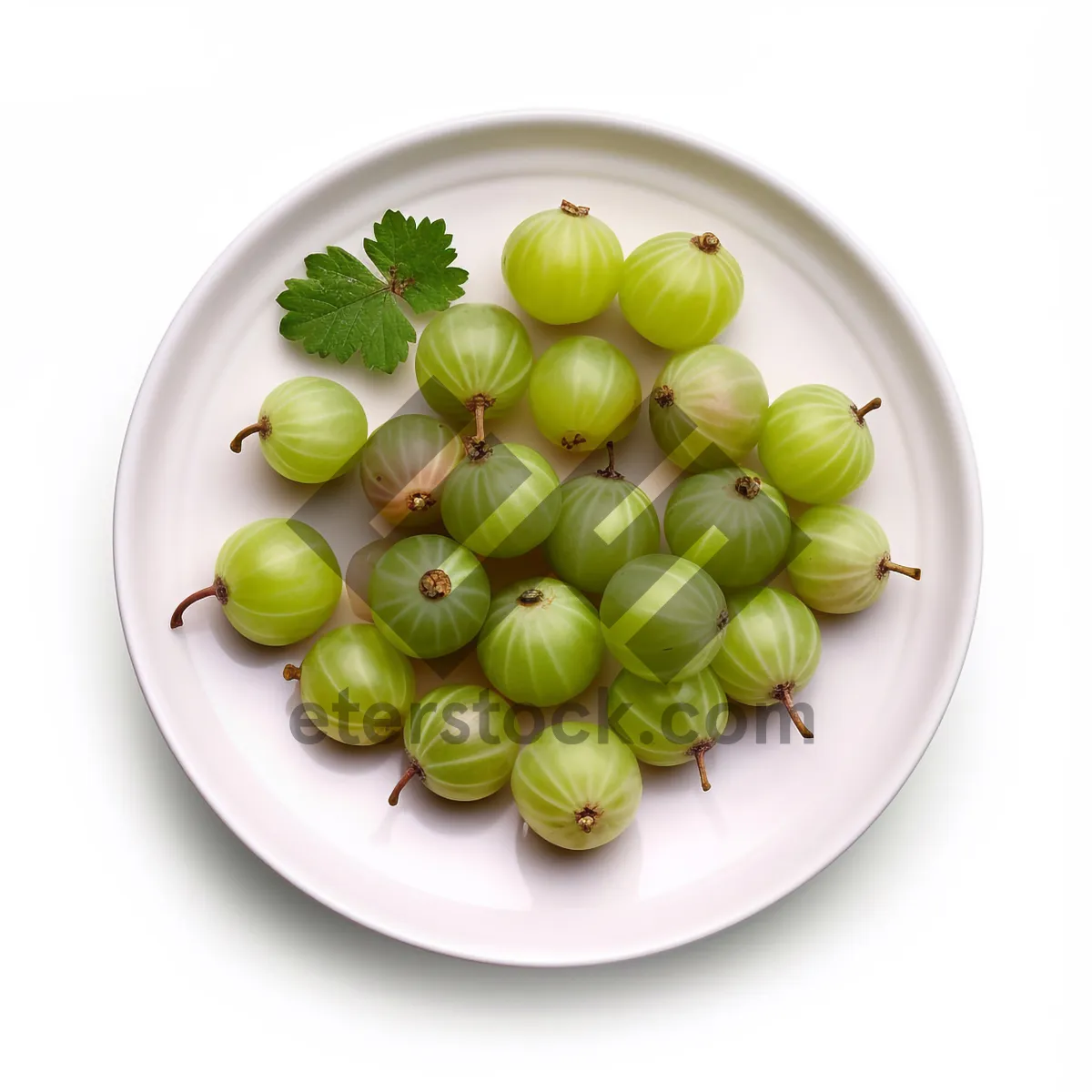 Picture of Fresh and Healthy Berry and Grape Vine Harvest