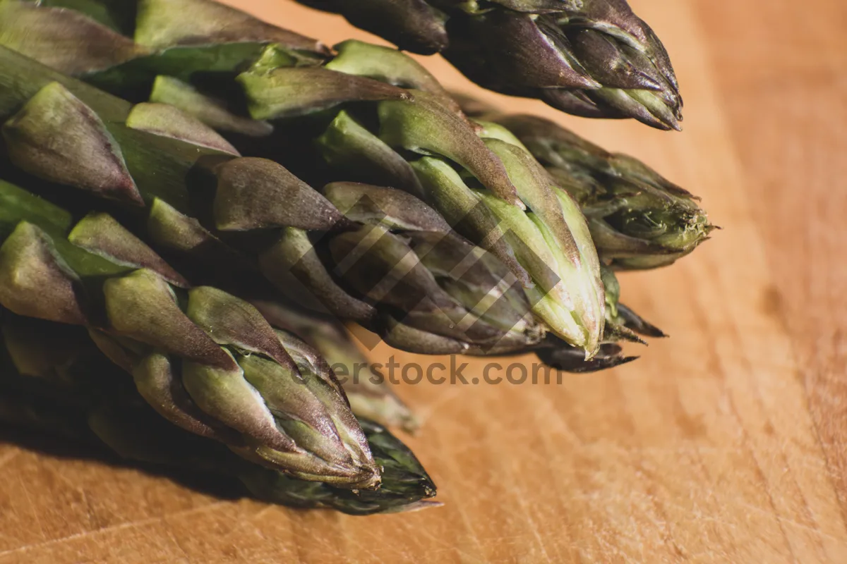 Picture of Fresh organic asparagus closeup for healthy cooking ingredients.