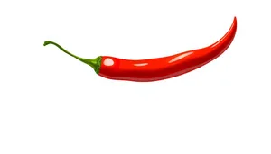 Spicy Sweet Pepper for Colorful Cooking