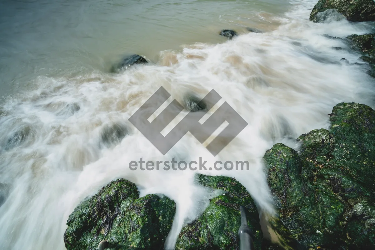 Picture of River Waterfall with Domestic Dog Canine Watchdog Hound