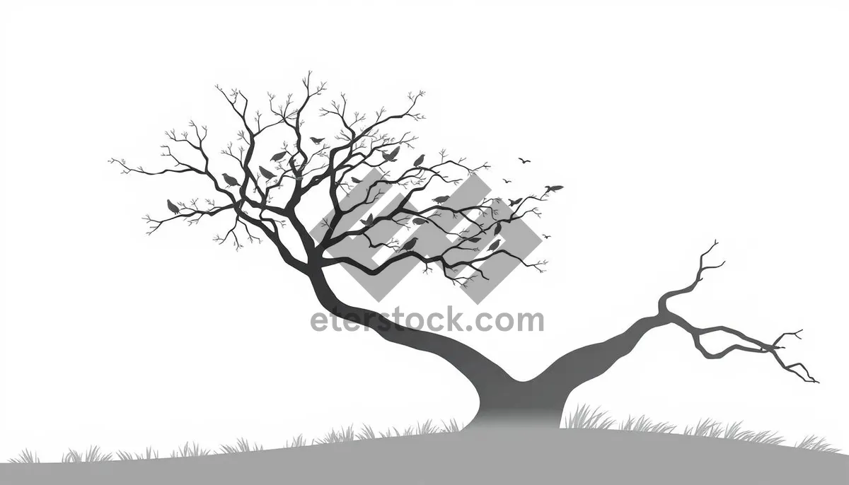 Picture of Black floral tree branch silhouette design art.