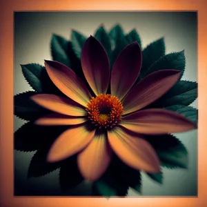 Vibrant Summer Daisy Blooming in Sunlit Garden