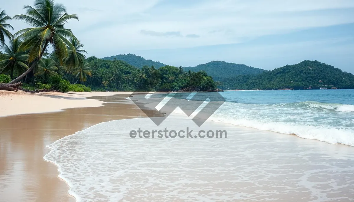 Picture of Tropical paradise island landscape with clear turquoise waters.