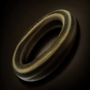 Black Poison Thunder Snake in Night Wildlife