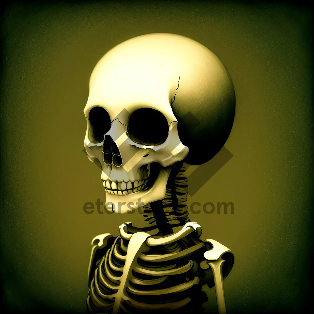 Picture of Terrifying skeletal head with jaw and sockets