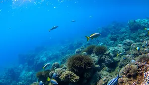 Colorful coral reef teeming with tropical fish underwater.