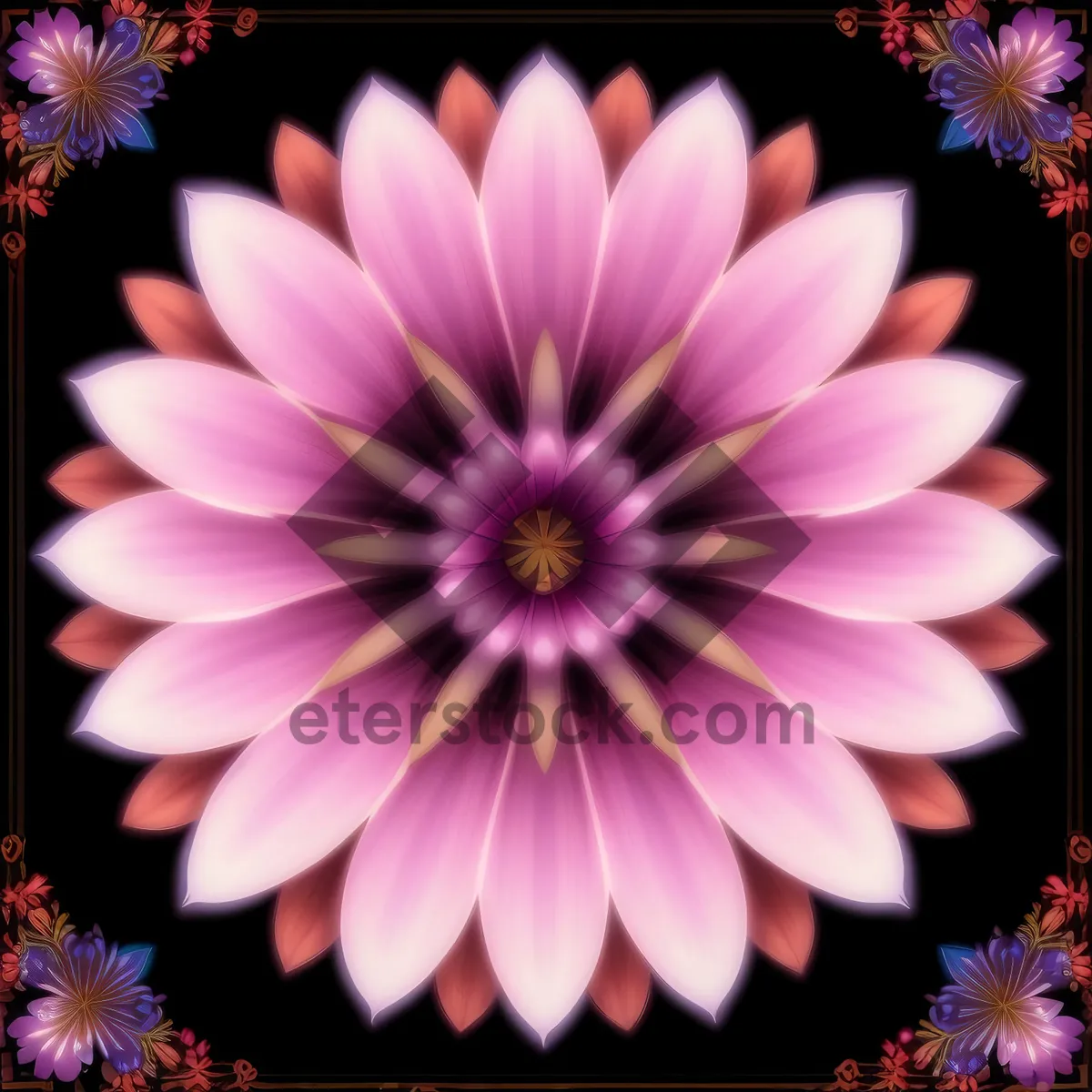 Picture of Vibrant Pink Daisy Blossom in Garden