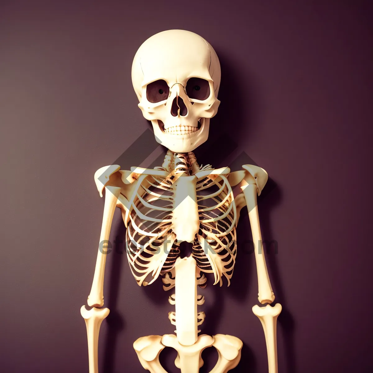 Picture of Terrifying Pirate Skeleton Pose - Anatomy Horror