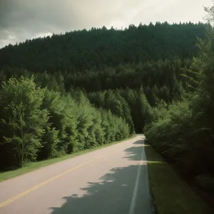 Serene Summer Drive through Rural Landscape