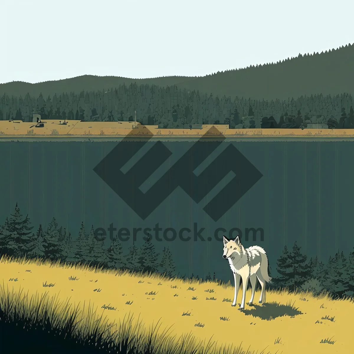 Picture of Rural Grassland Wildlife: Canine Coyote in Landscape