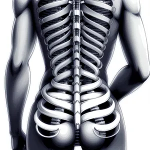 Anatomical 3D X-ray of Human Torso in Black Sportswear