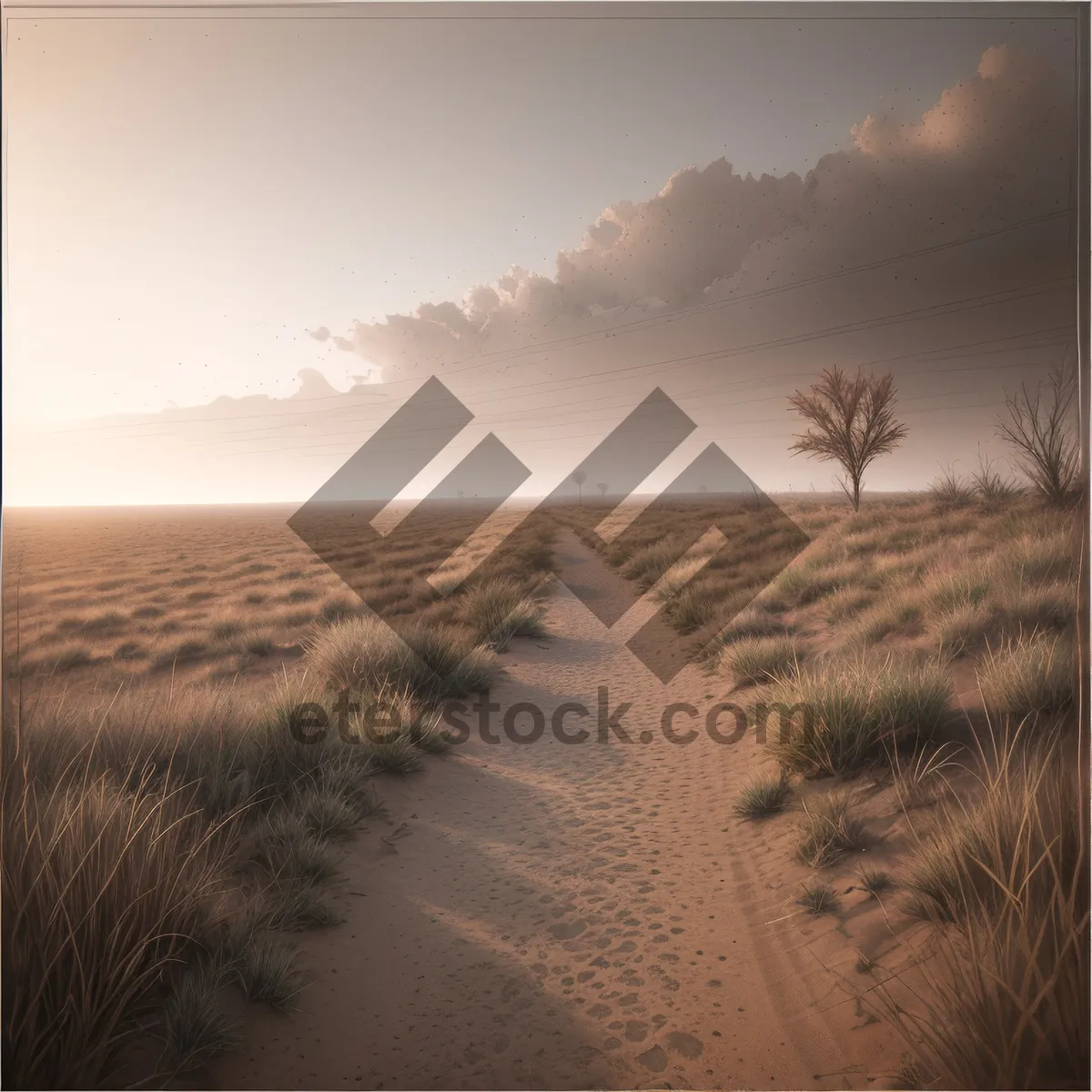 Picture of Dune Horizon: A Serene Sunset Overlooking the Sandy Landscape