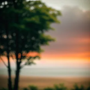 Colorful Oak Tree in Sunny Meadow
