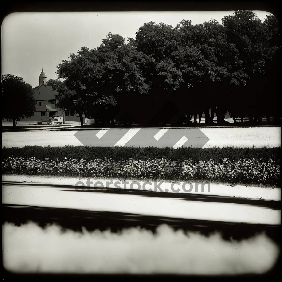 Picture of Scenic Winter Park Bench Along Water