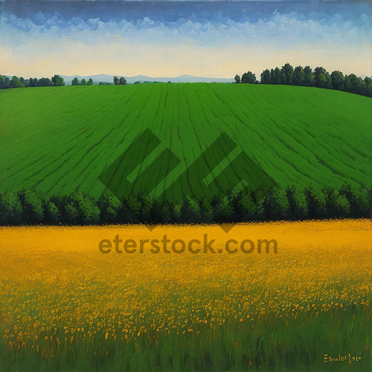 Picture of Vast Wheat Fields Under Clear Skies