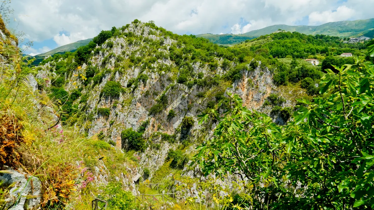 Picture of Mountain landscape with trees and grassy valley