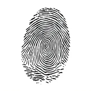 Graphic silhouette design pattern symbol icon art concept.