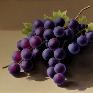 Vibrant Concord Grapes in a Bountiful Harvest