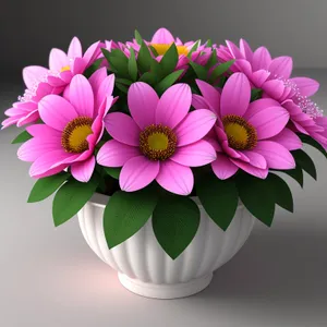 Romantic Pink Lotus Blossom - A Delicate Floral Gift