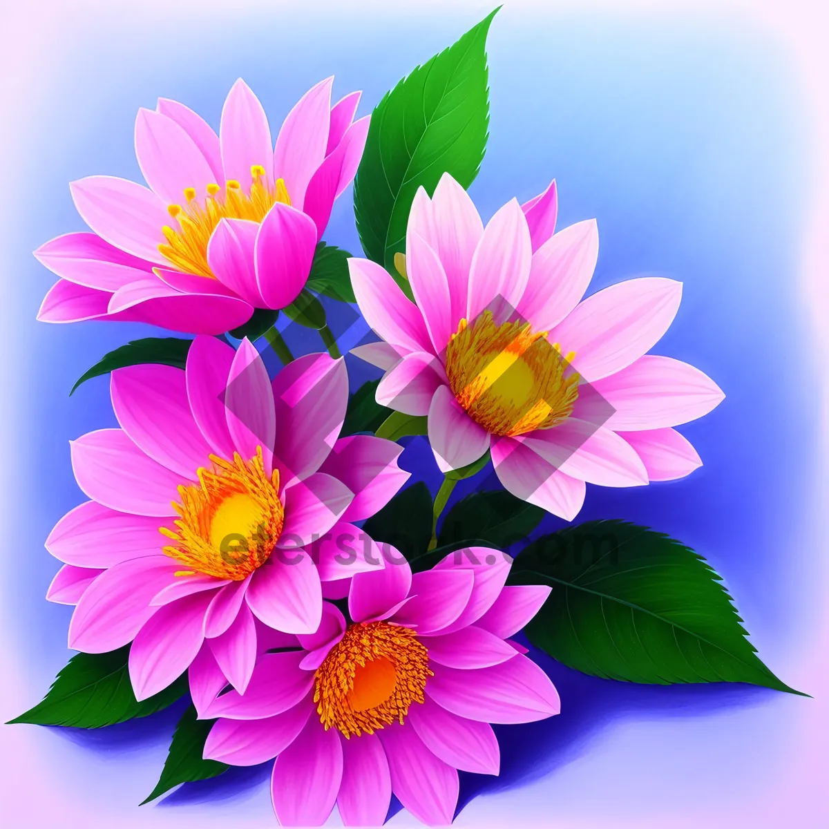Picture of Blooming Lotus: Pink Floral Blossom in a Colorful Garden