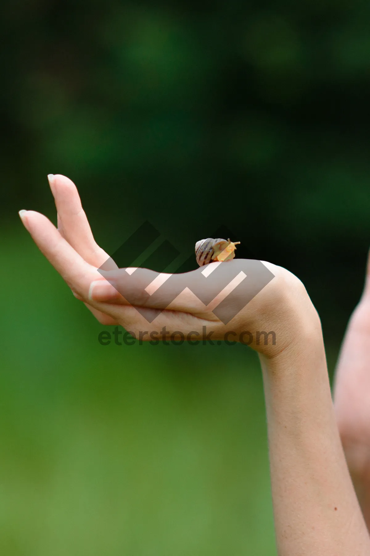 Picture of Human hands holding fingers with care and love.