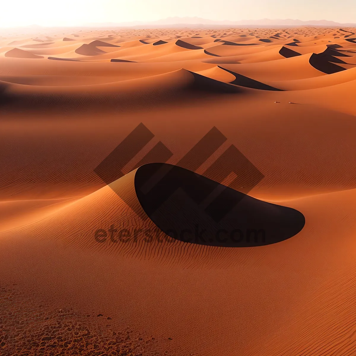 Picture of Majestic Desert Dunes at Sunset: Morocco Adventure