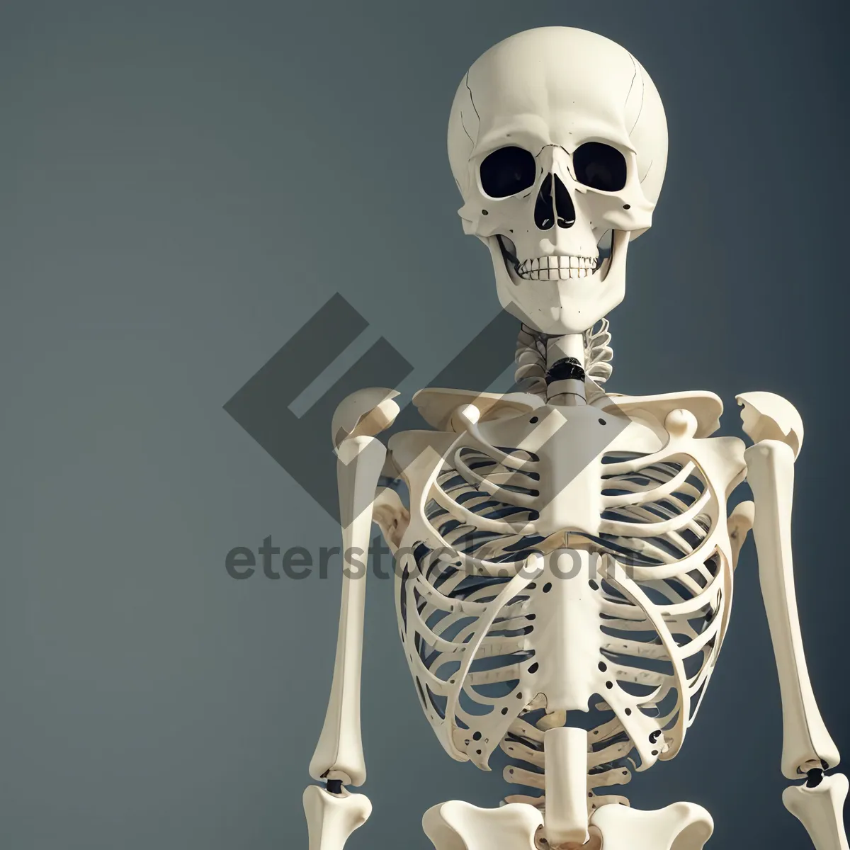 Picture of Horror Skeleton: 3D Anatomy of Human Bones