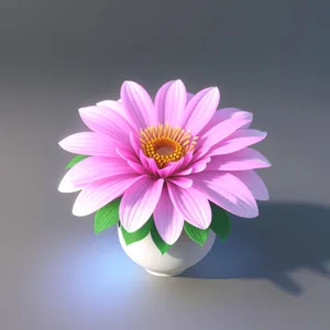 Blooming Lotus with Petals of Pink and Purple