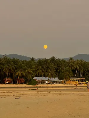 Sunset volleyball game equipment on tropical beach.