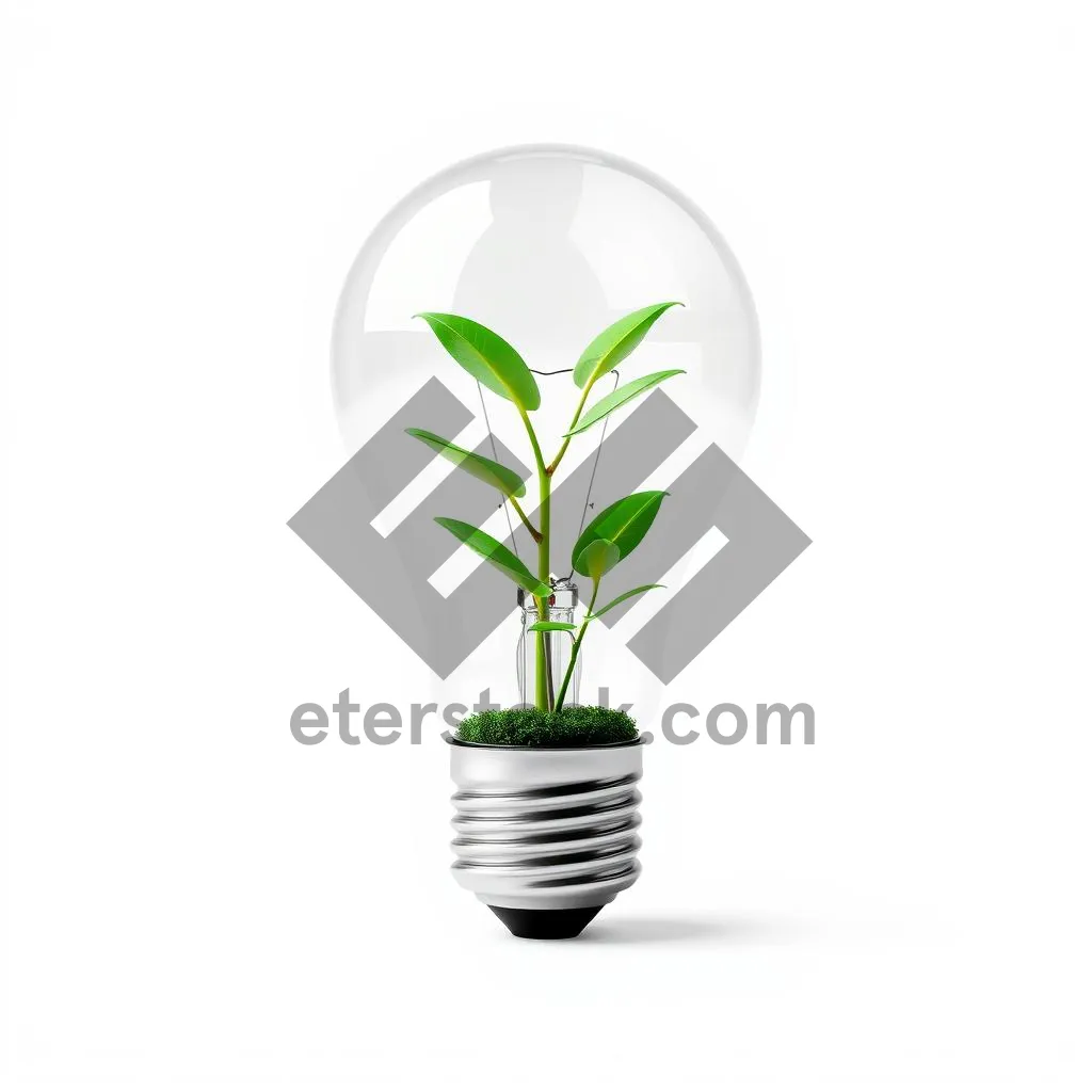 Picture of Green energy symbol with light bulb and tree