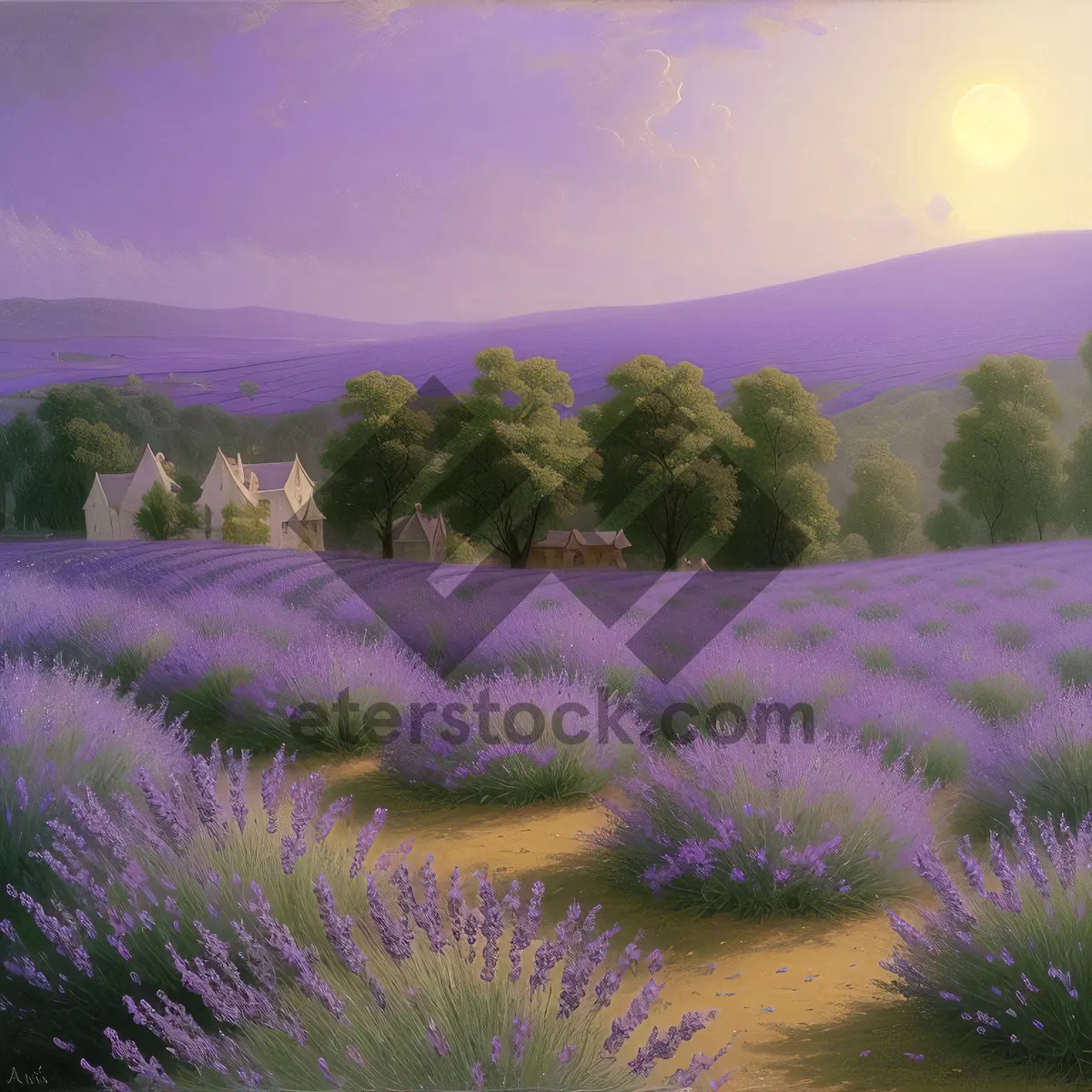 Picture of Vibrant Night Fireworks Burst in Lavender Field