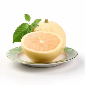 Fresh Citrus Fruit Slices - Vibrant and Juicy Essentials