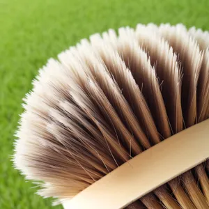 Mushroom close-up with scrub brush.