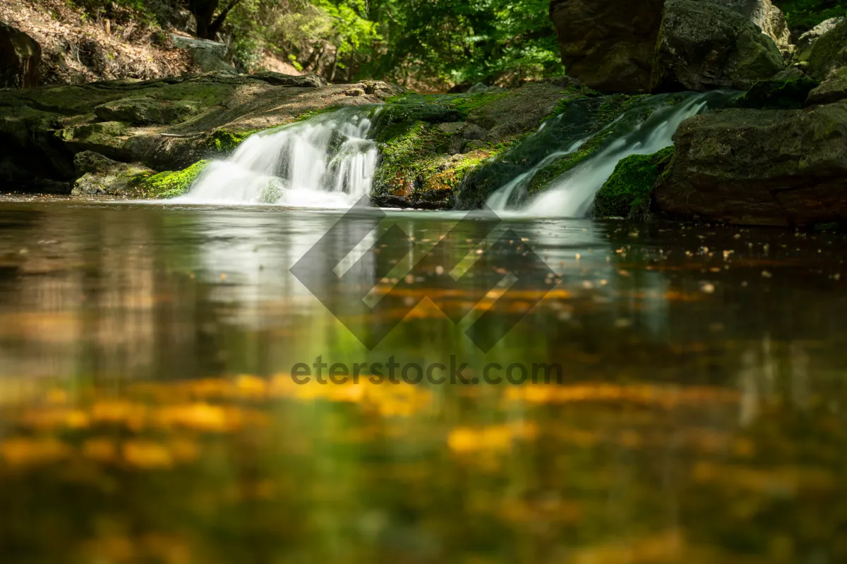 Picture of Serene waterfall in tranquil forest landscape.