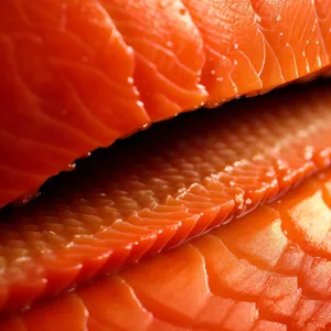 Fresh Citrus Salmon Dinner Slice with Mandarin