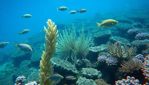 Colorful Tropical Marine Life Underwater Coral Reef Scene