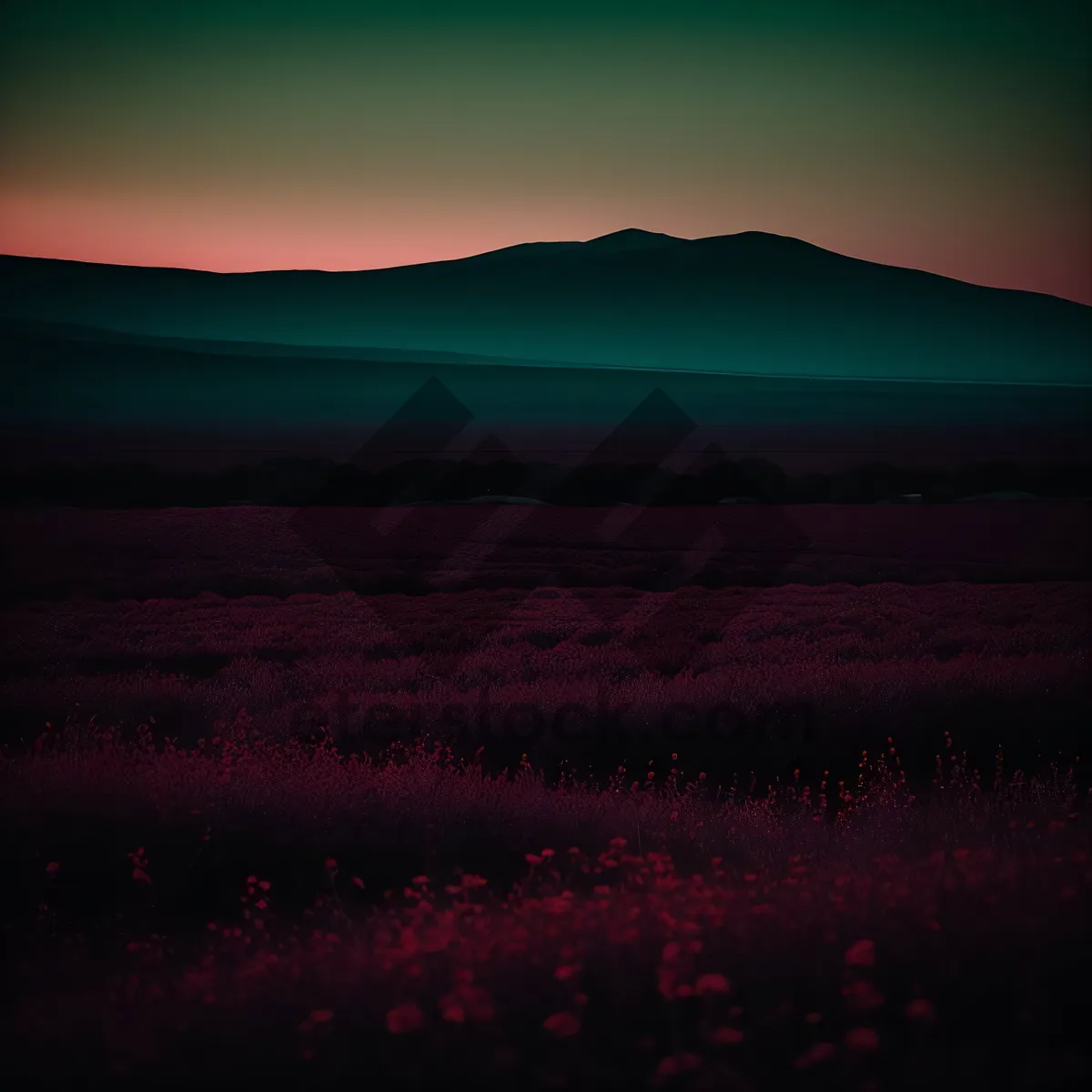 Picture of Vibrant Sunset Over the Sea