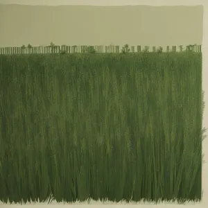 Summer Wheat Field Texture with Bristle Brush Pattern