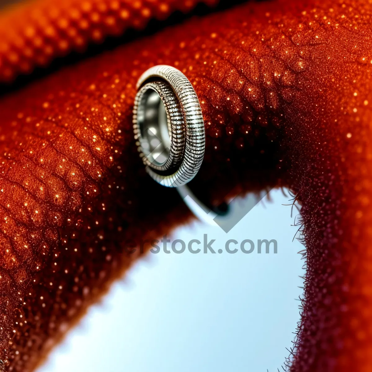 Picture of Fly Pen - Close-Up Writing Implement with Ballpoint in Bottle