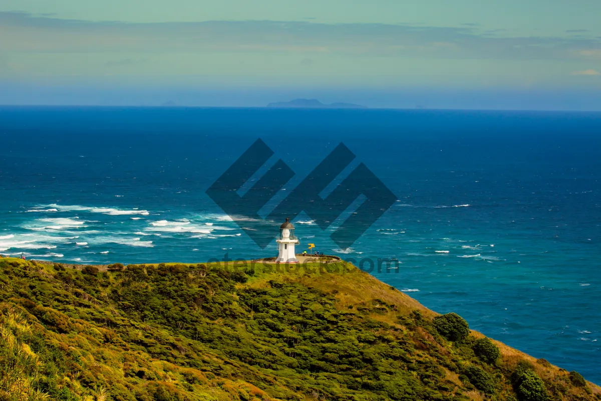 Picture of Ocean Cape Tower and Lighthouse on Cliff