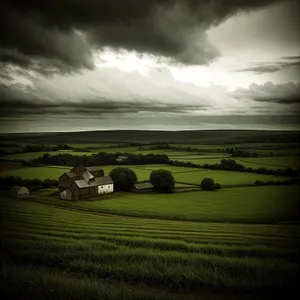 Rural Landscape with Grazing Cows under Cloudy Sky