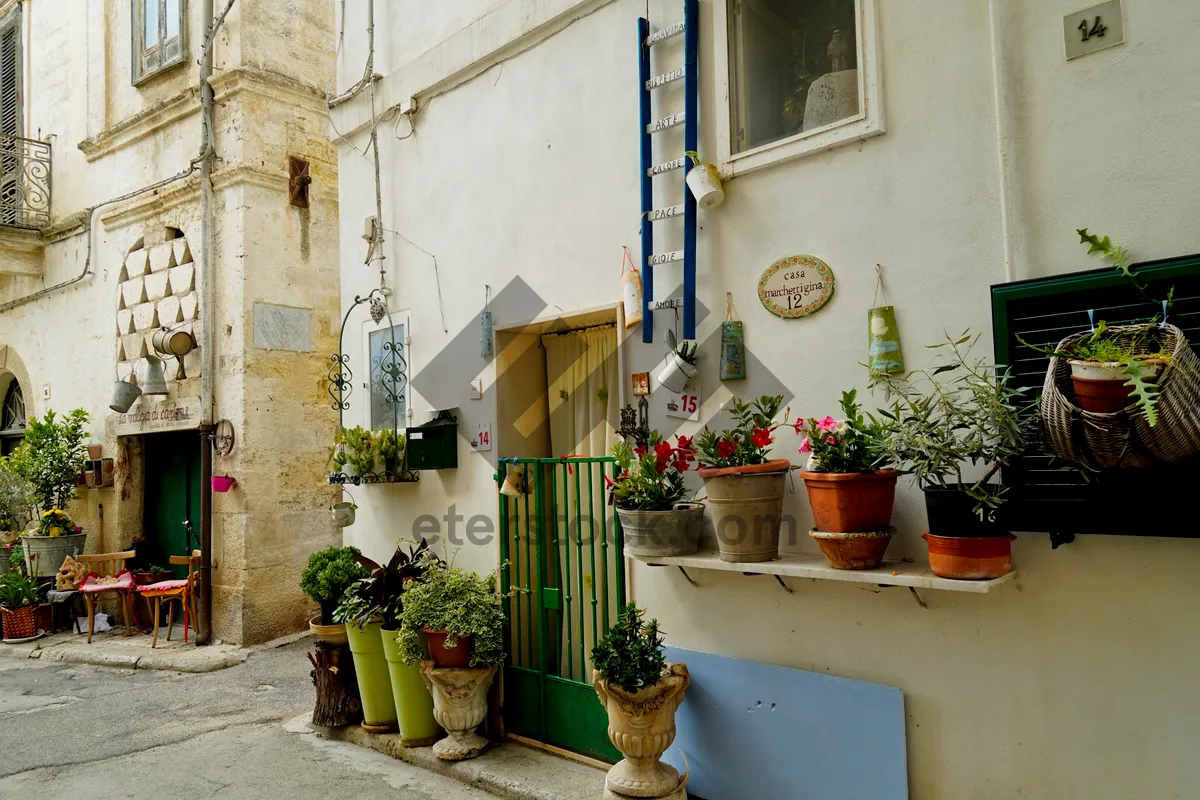 Picture of Old Stone Home with Flowers by the Street