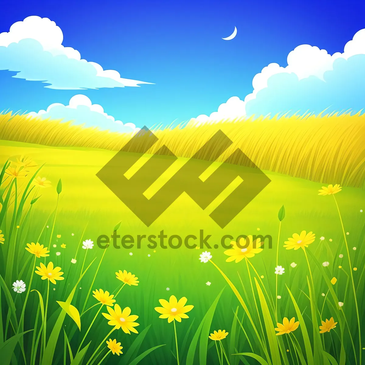 Picture of Golden Wheat Field in Summer Sunset