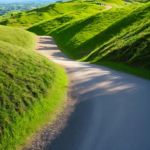 Serene Countryside Landscape with Lush Trees and Rolling Hills