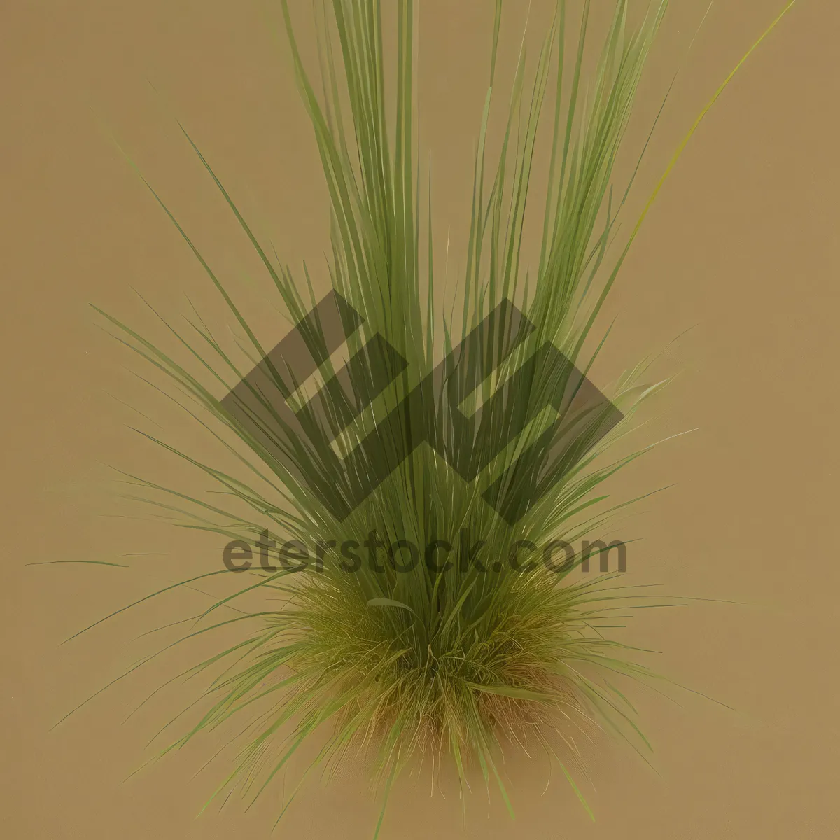 Picture of Digital Flax Tree: Futuristic Fractal Art in Motion