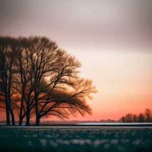 Serene Sunset over Vast Countryside Meadow