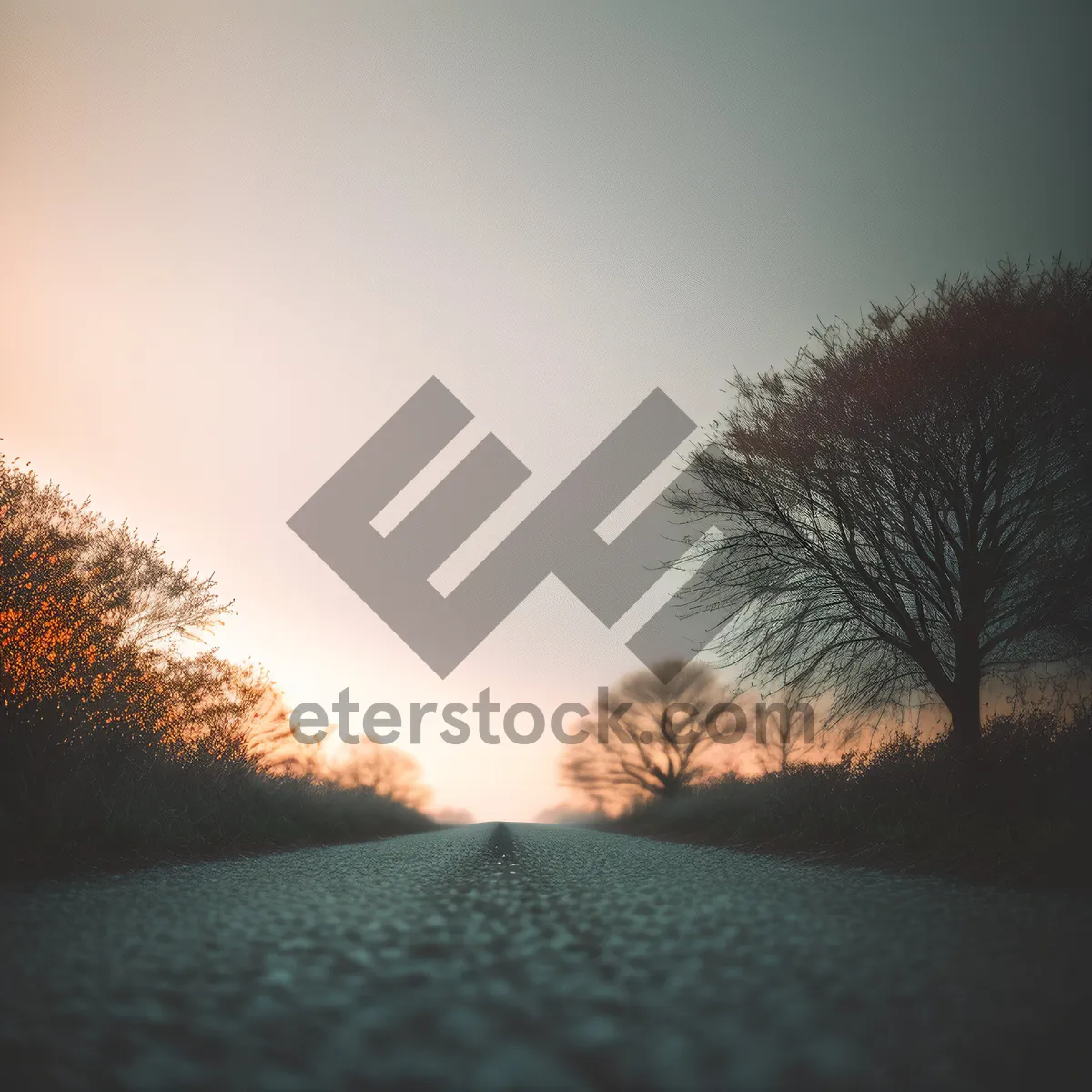 Picture of Golden Sunset Over Rural Landscape