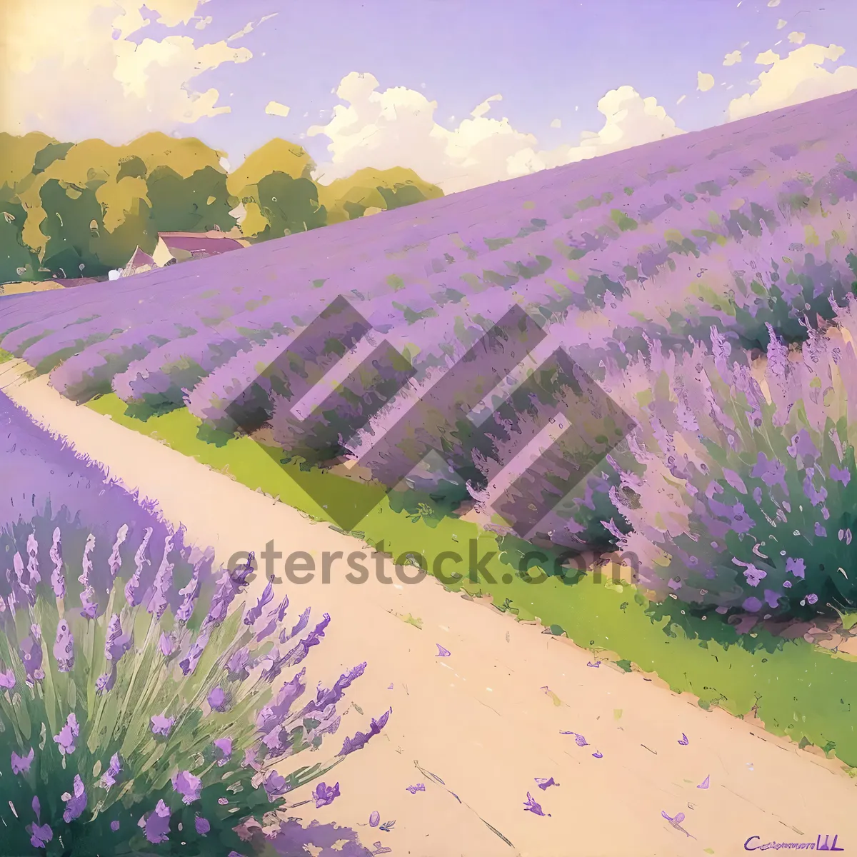 Picture of Purple Lavender Shrub in Rural Meadow Landscape