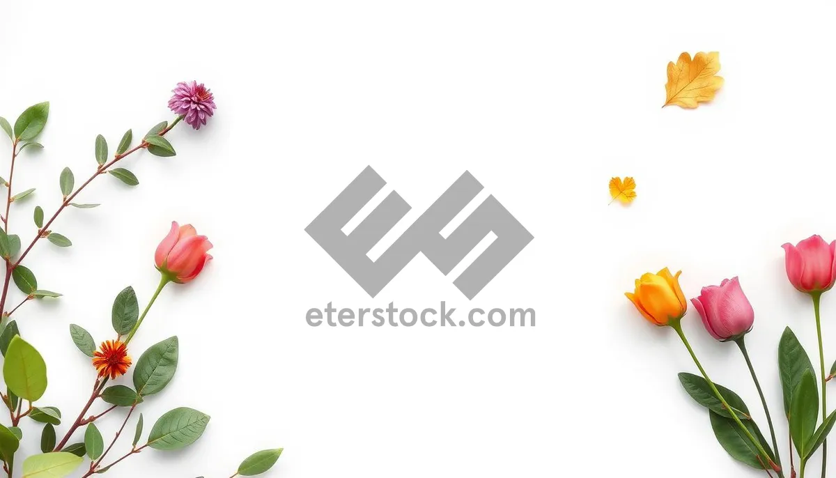 Picture of Celebration Flower in Yellow Frame - East Wind Photograph