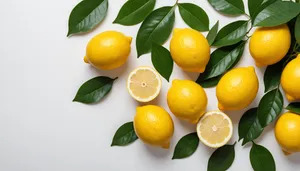 Fresh Citrus Fruits: Healthy and Delicious Vitamin Boost